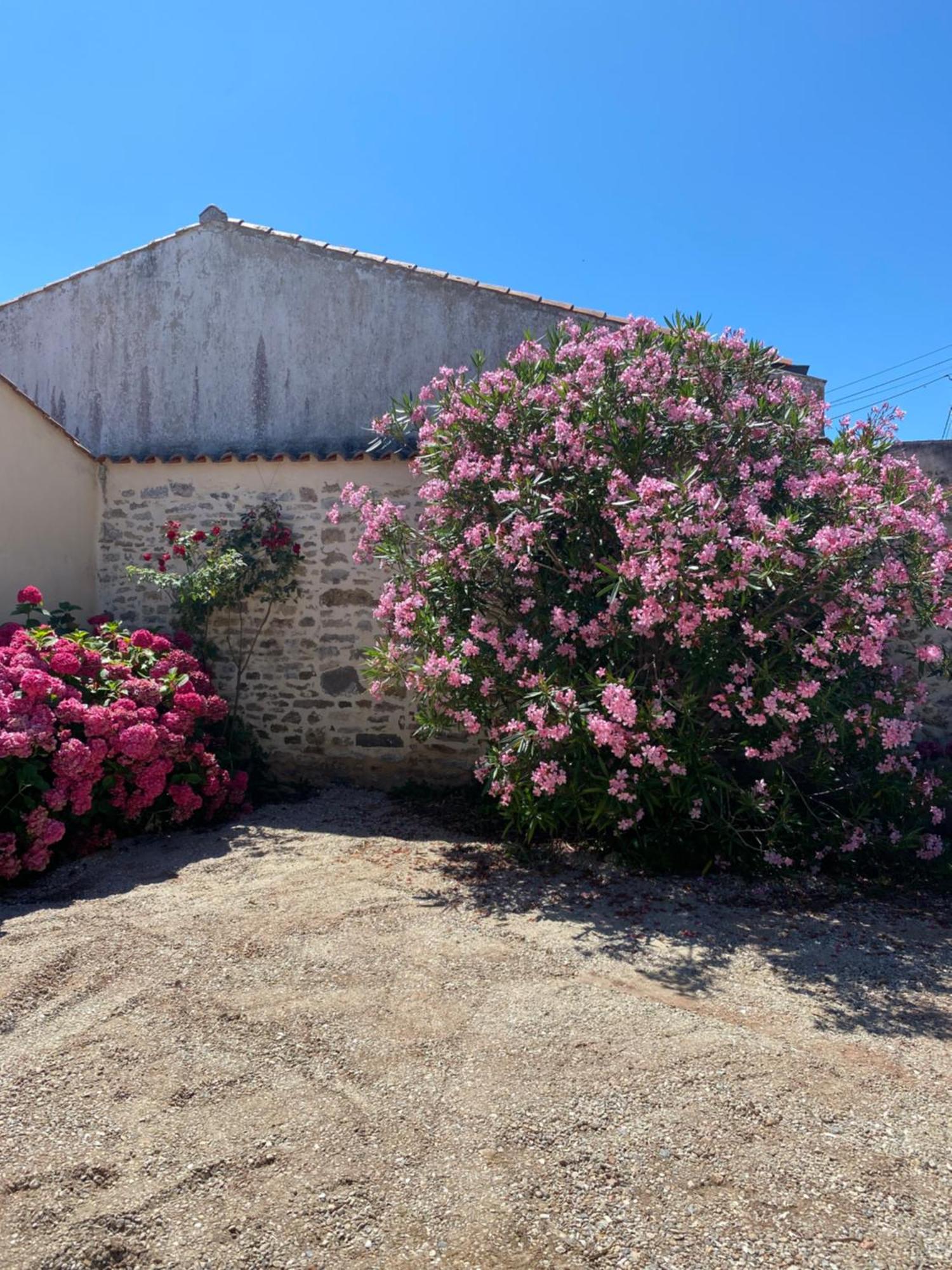 Villa Cote&Marais Jard-sur-Mer Exterior foto